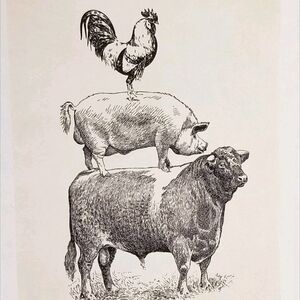 Farm Poultry Cow Pig Poster Wall Art NIP